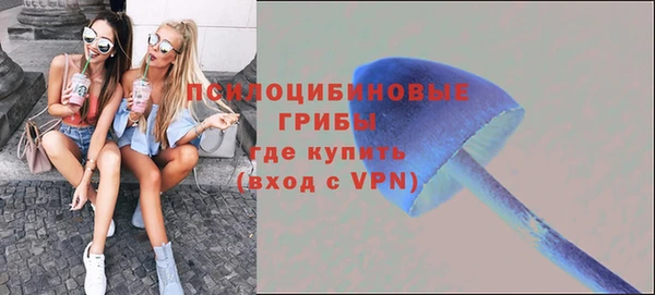 марки nbome Бородино