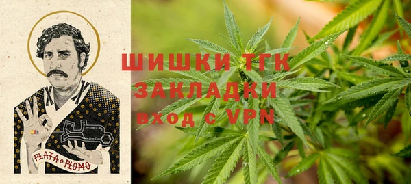 мдпв Бугульма