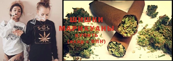 мдпв Бугульма