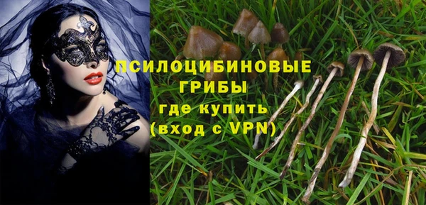 сатива Бронницы