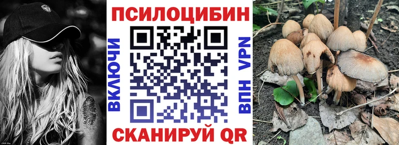 наркотики  Нерюнгри  Псилоцибиновые грибы GOLDEN TEACHER 